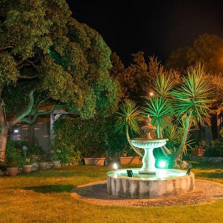 B&B Villagus Praia a Mare Luaran gambar